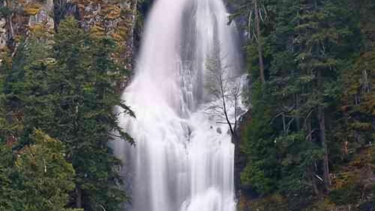 Photo of Outdoor in Greenwater