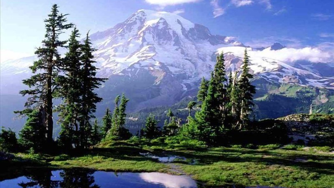 Photo of Others in Greenwater