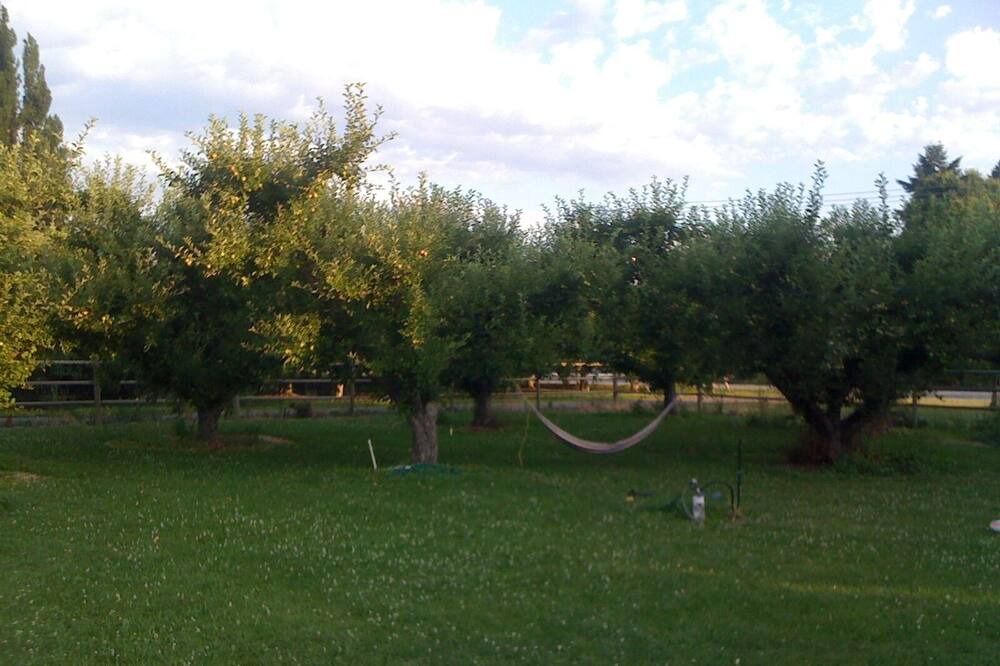 Photo of Others in Cashmere