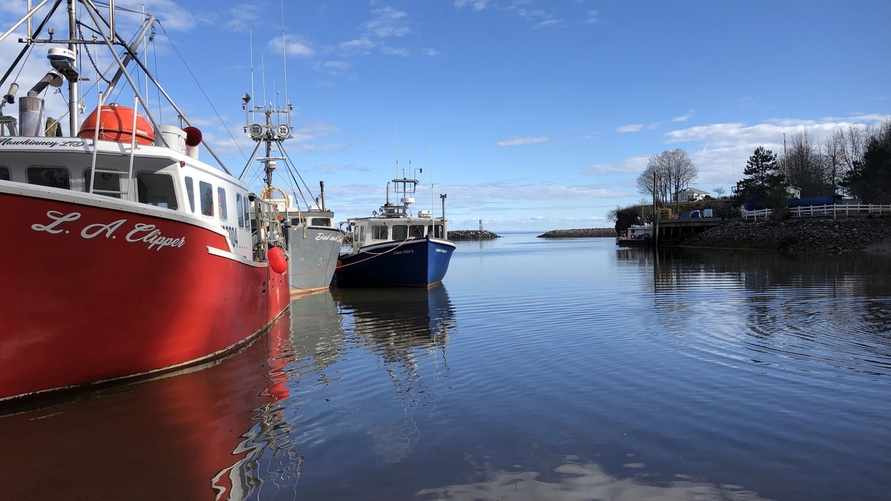 Photo of Others in St. Martins