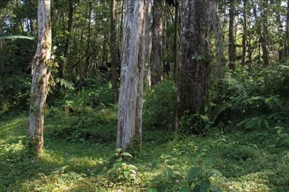 Photo of Others in Nanawale Estates