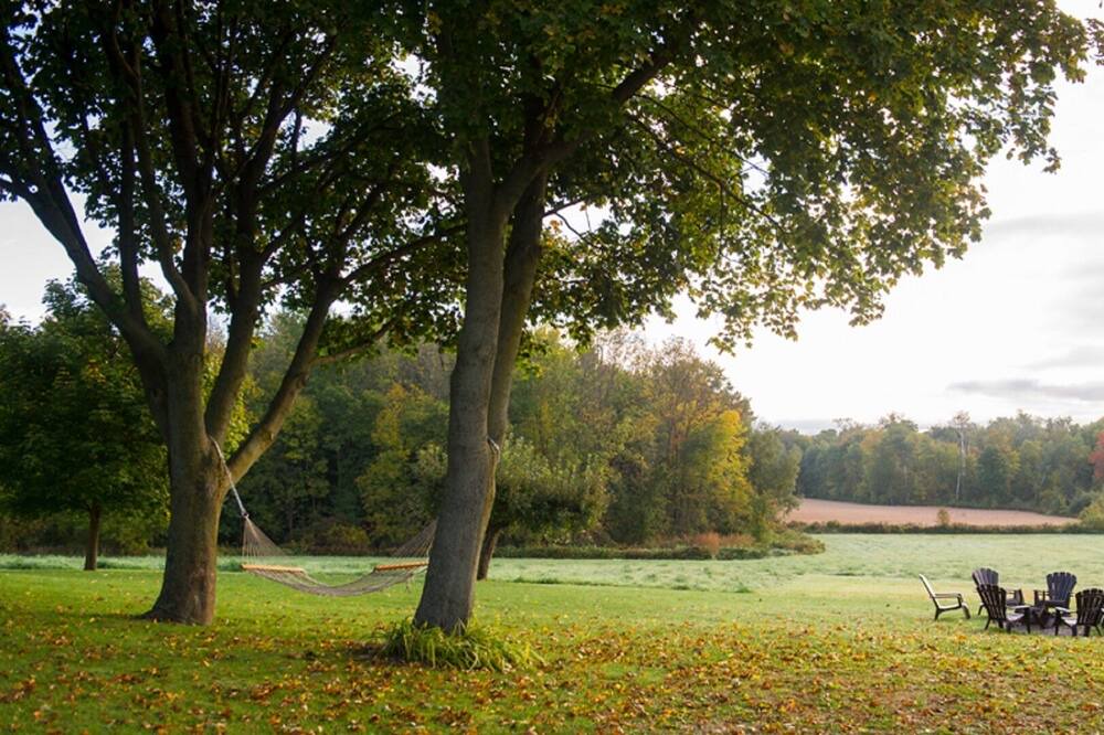 Photo of Outdoor in Blandford-Blenheim