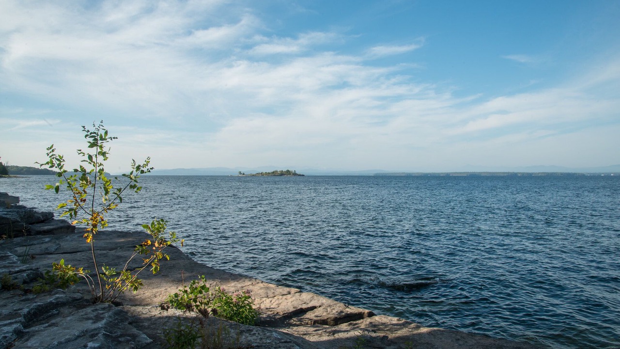 Photo of Others in South Hero