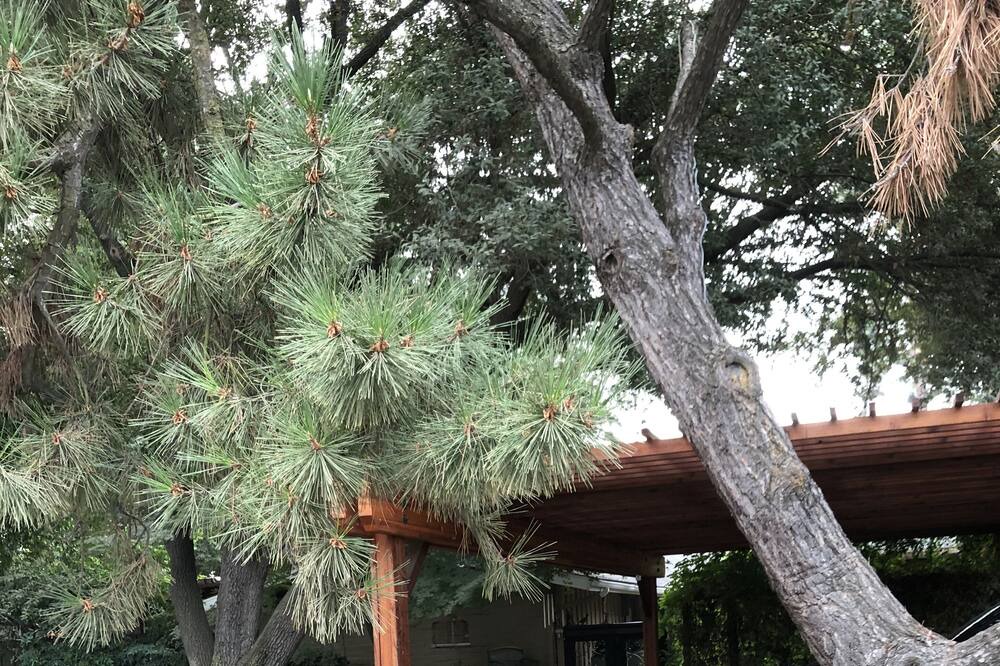 Photo of Outdoor in Fresno