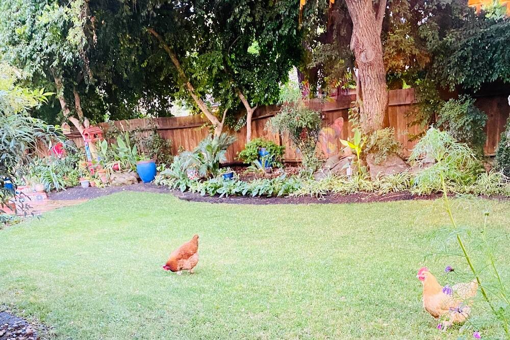 Photo of Others in Fresno