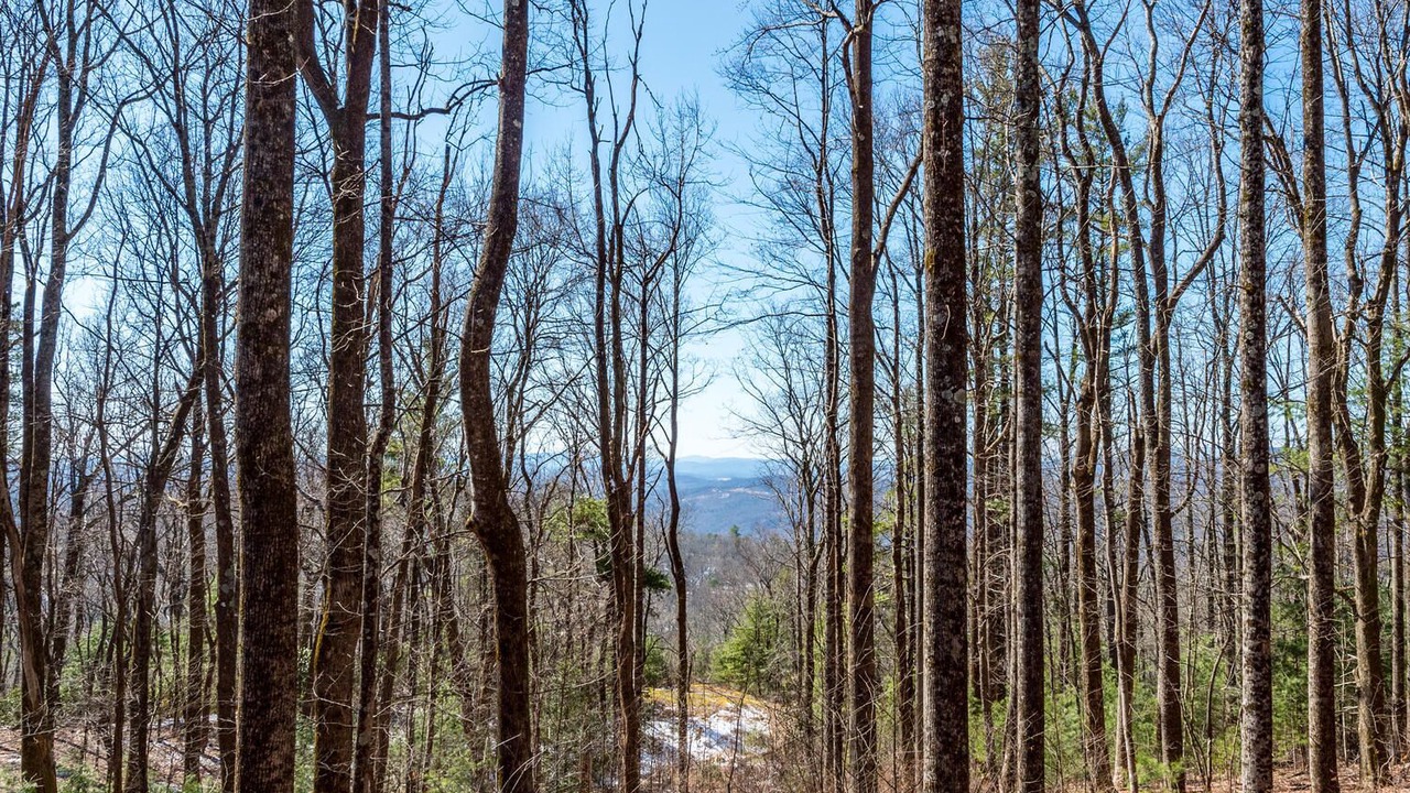 Photo of Outdoor in Chimney Rock