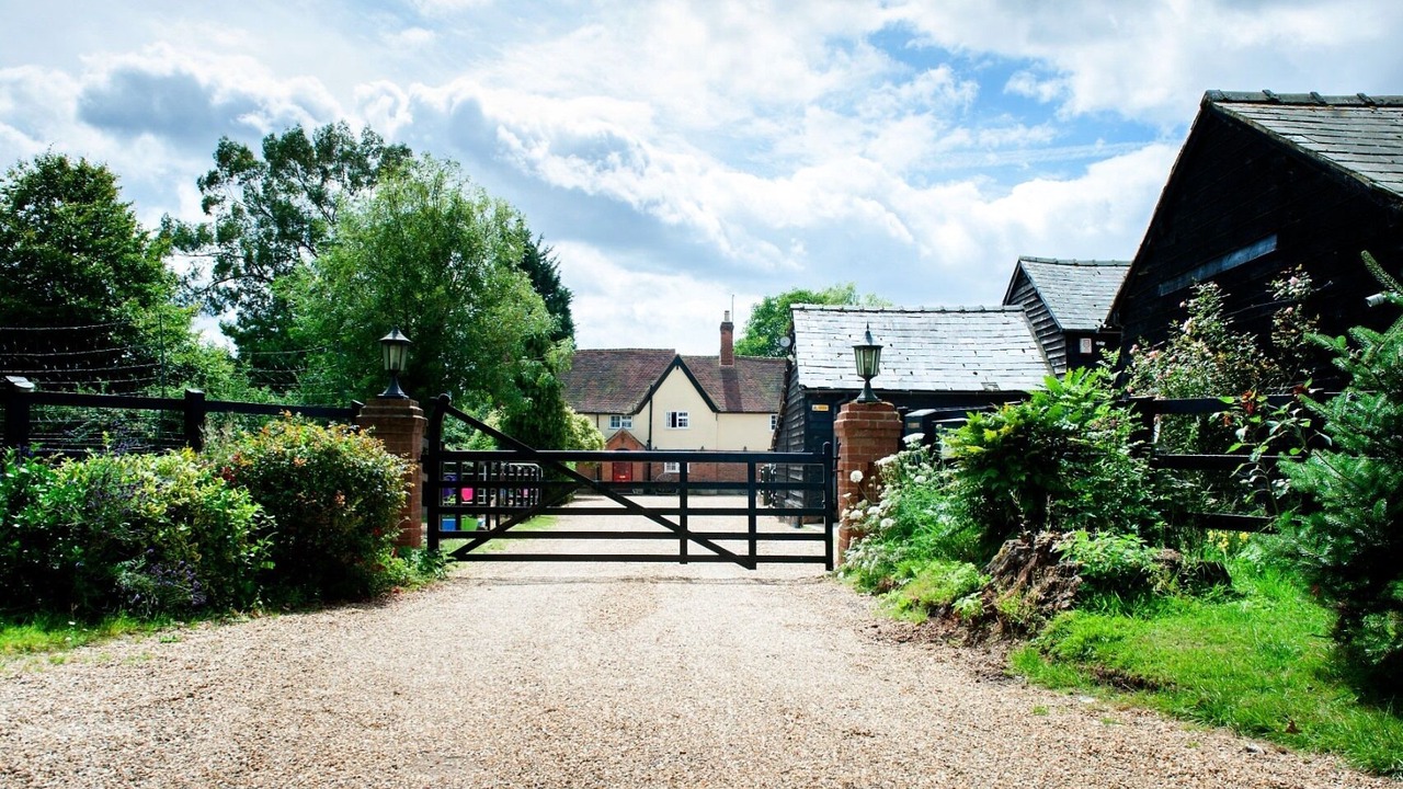 Photo of Others in Tea Green