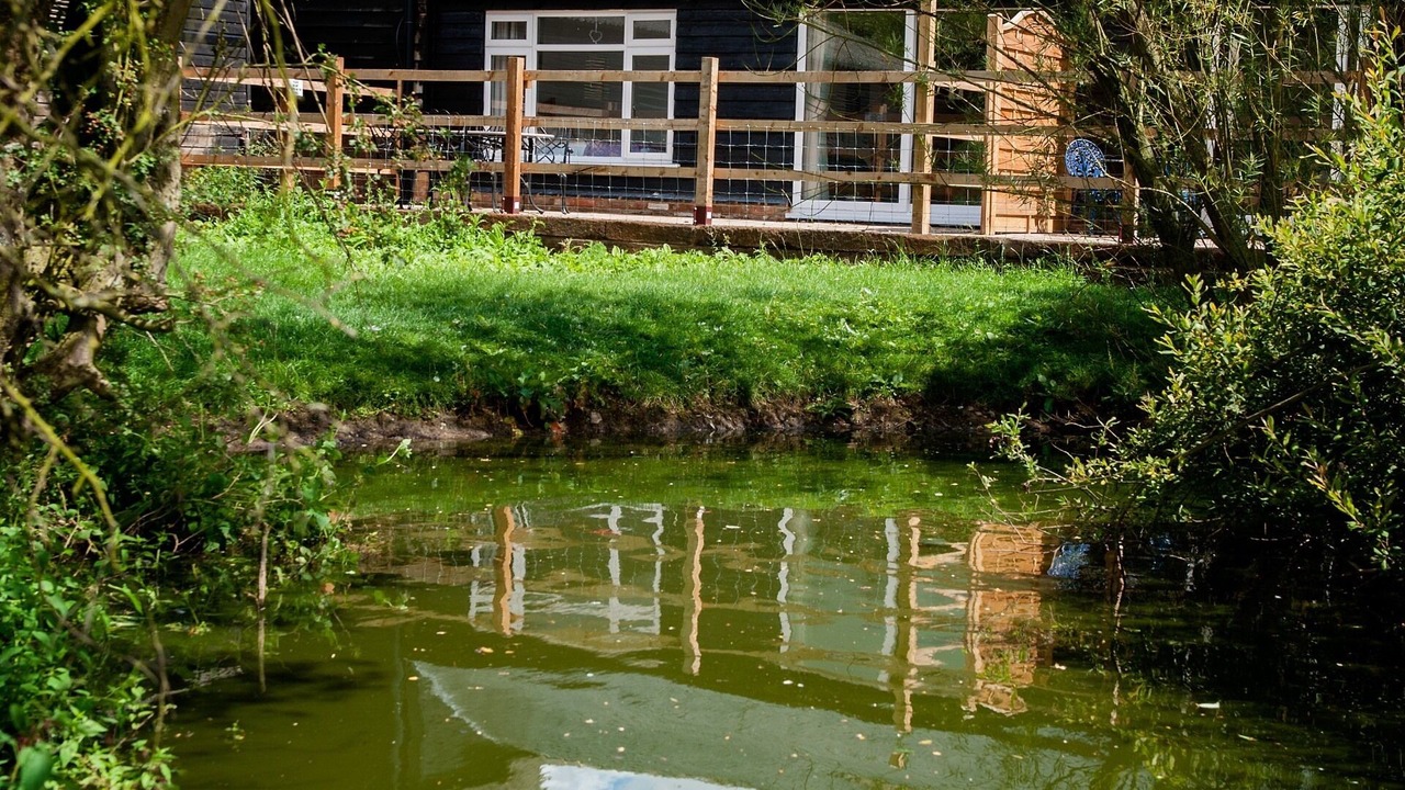 Photo of Outdoor in Tea Green