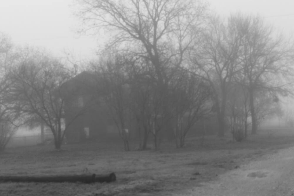 Photo of Others in Farmersville