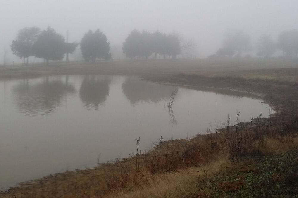 Photo of Others in Farmersville