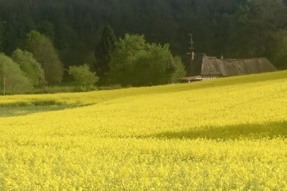 Photo of Outdoor in Saint-Cyr-la-Campagne