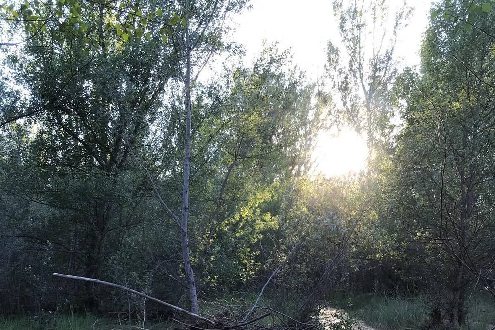 Photo of Outdoor in Llimiana