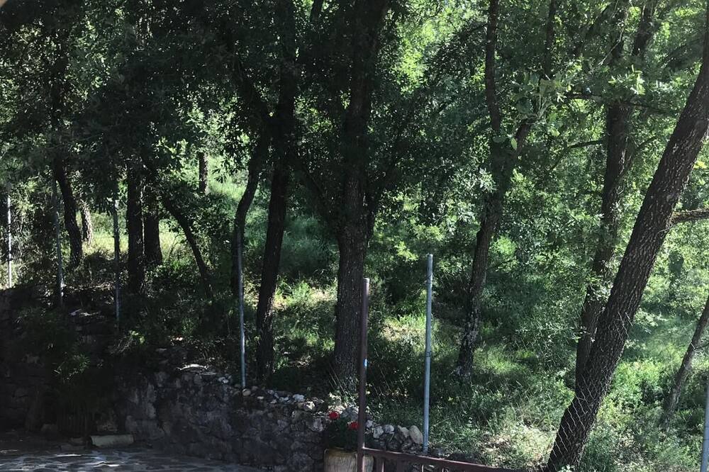Photo of Outdoor in Llimiana