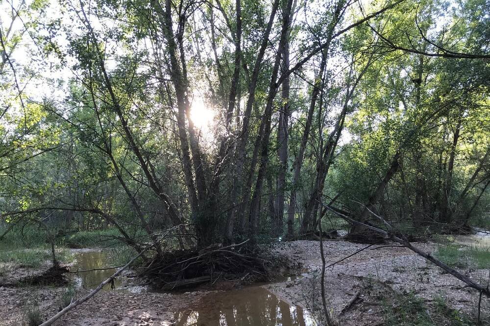 Photo of Outdoor in Llimiana