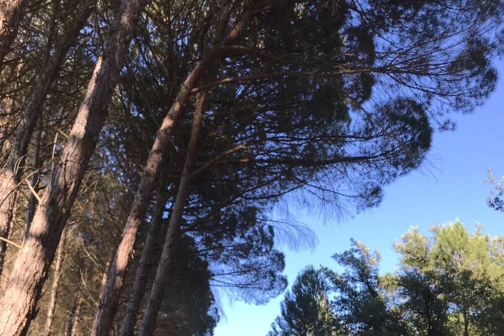 Photo of Outdoor in Llimiana