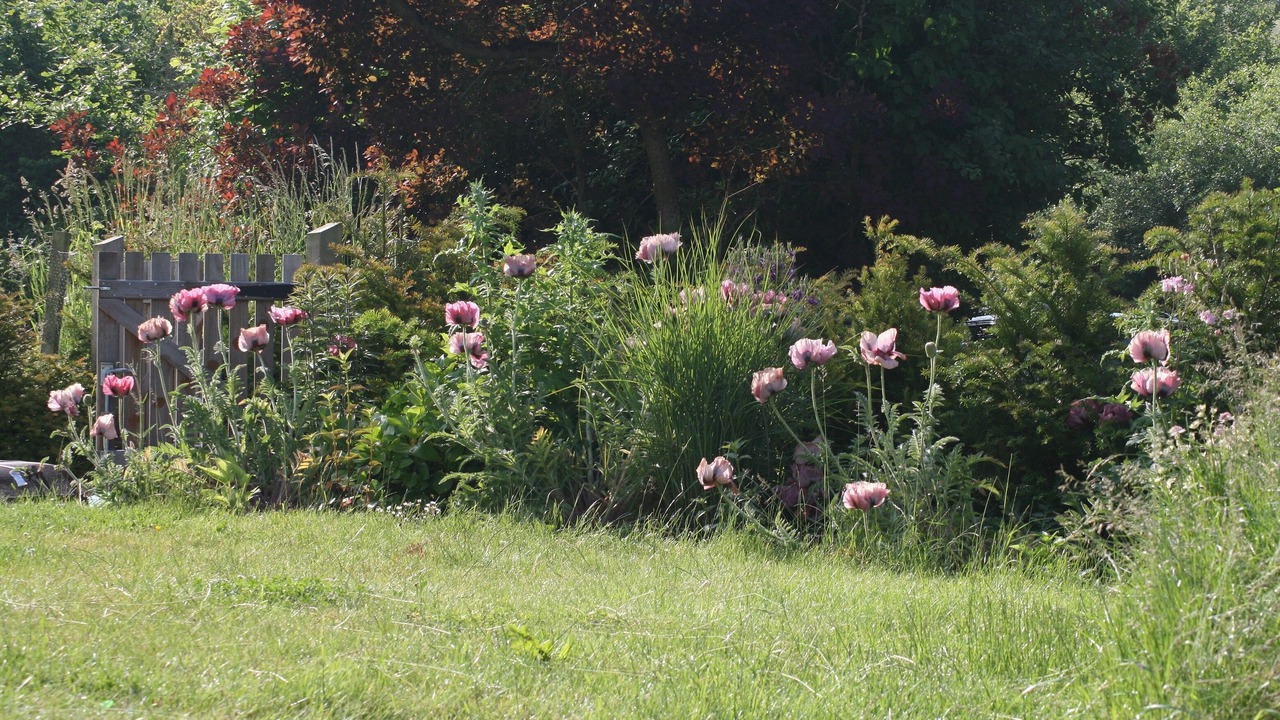 Photo of Outdoor in Shaftesbury