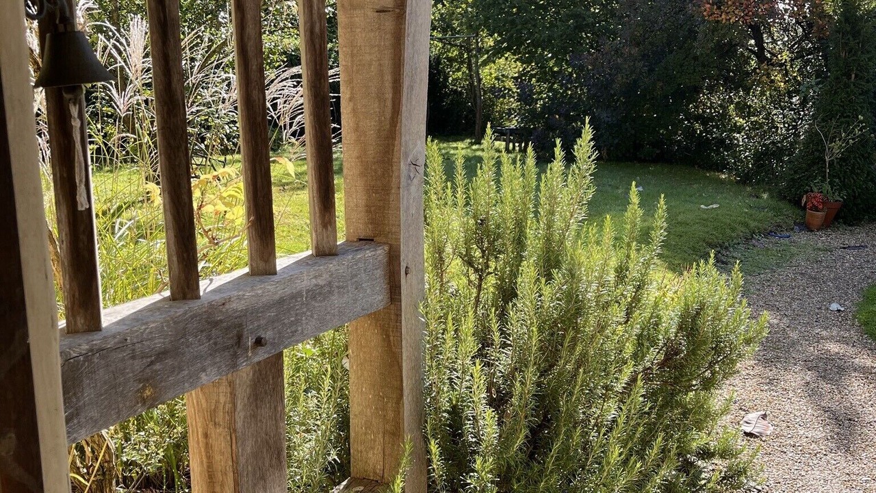 Photo of Outdoor in Shaftesbury