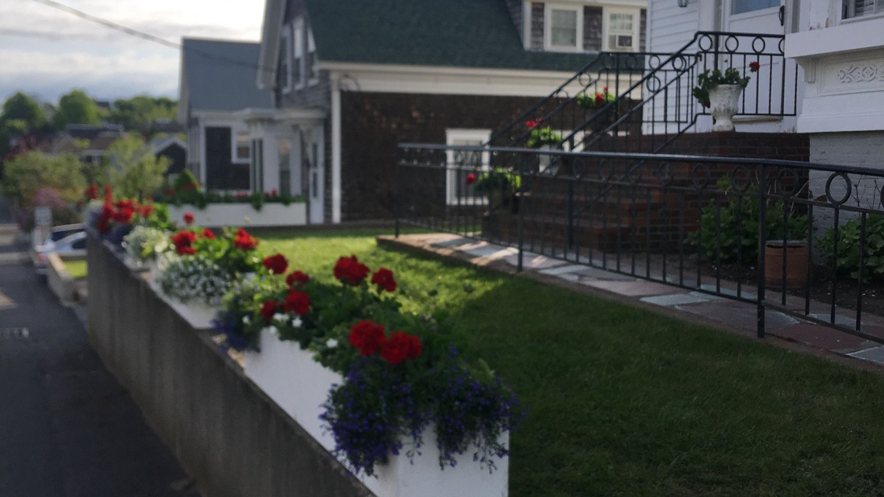 Photo of Outdoor in Provincetown