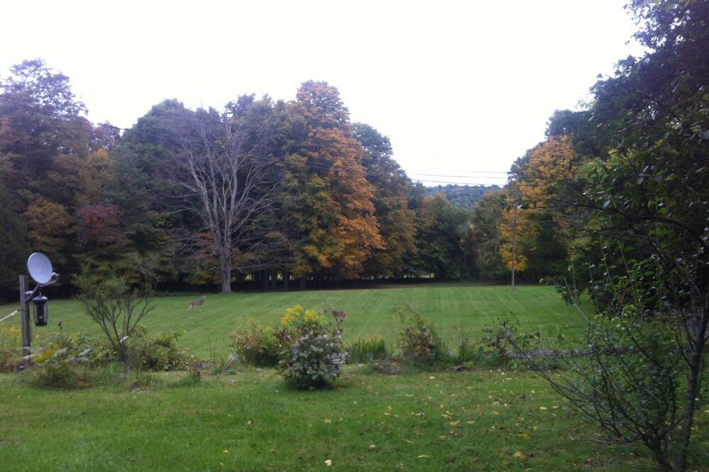 Photo of Outdoor in Town of Lloyd