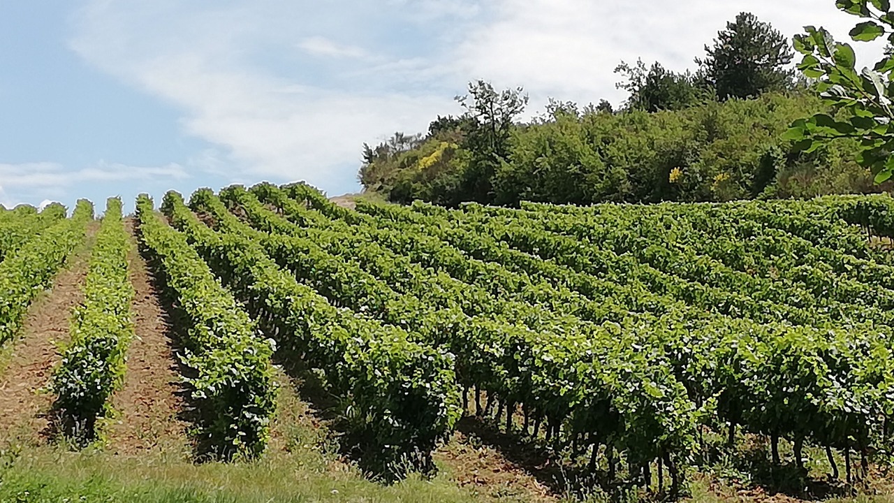 Photo of Outdoor in Saint-Benoit
