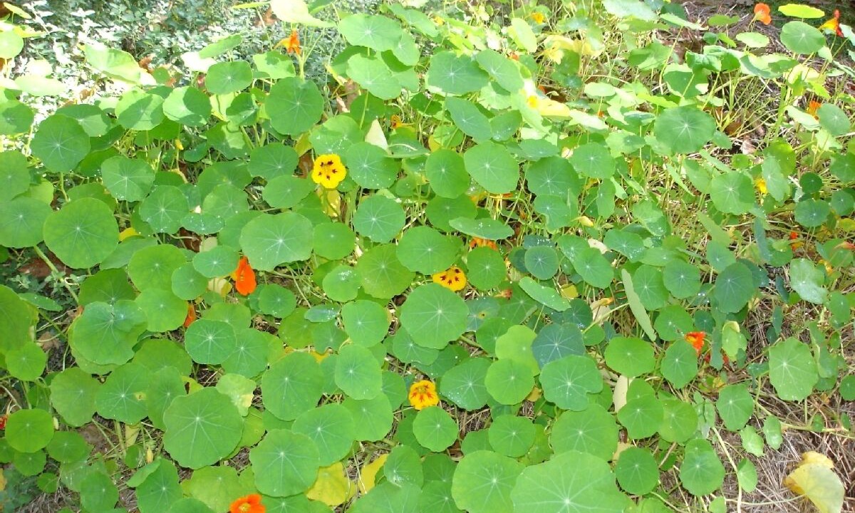 Photo of Outdoor in South Bristol