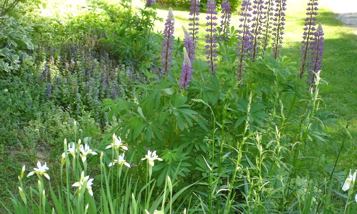 Photo of Outdoor in South Bristol