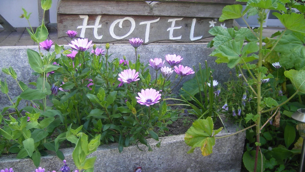 Photo of Others in La Turballe