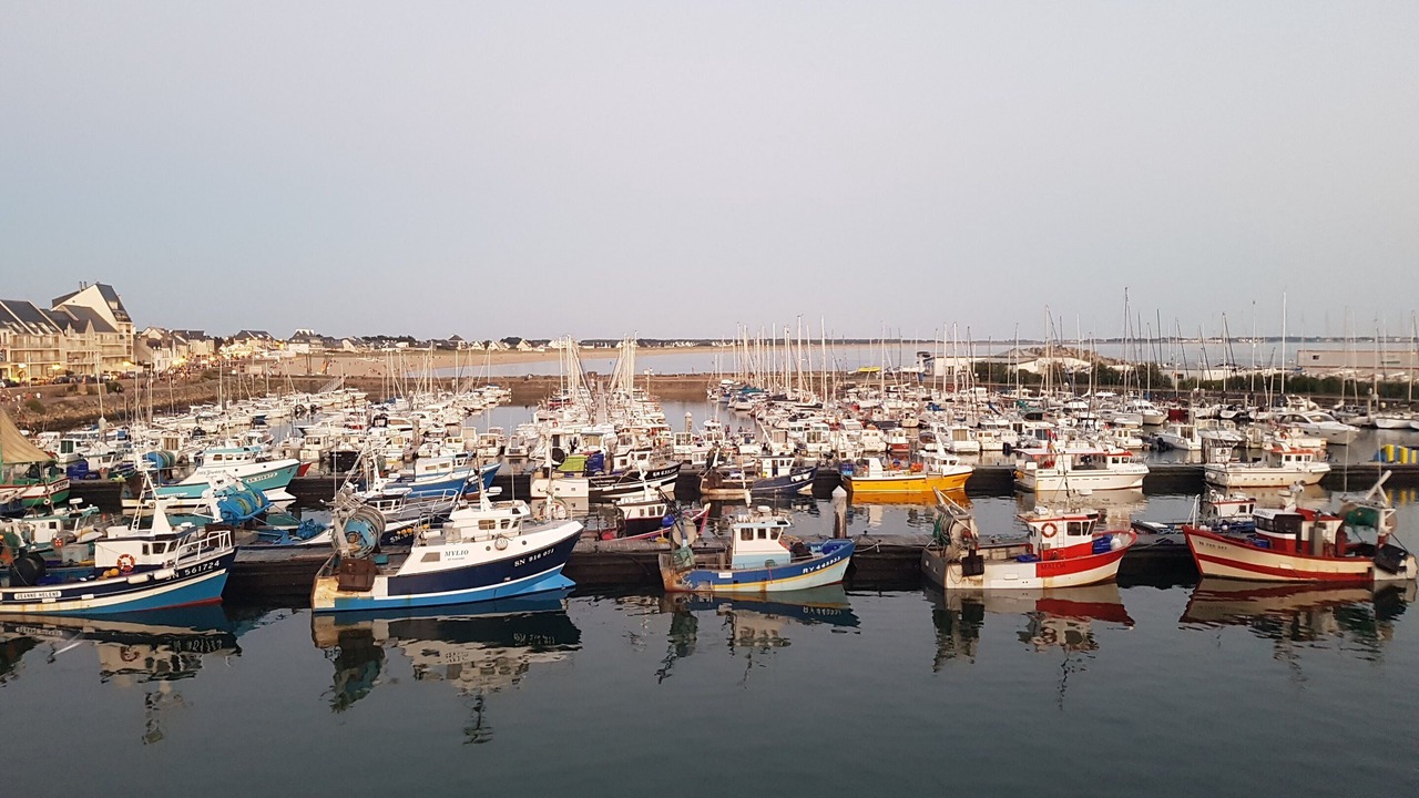 Photo of Others in La Turballe
