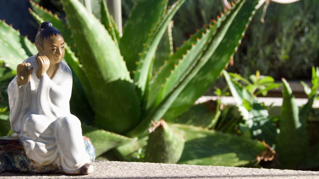 Photo of Outdoor in Orthevielle