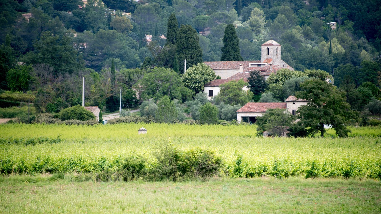 Photo of Others in Fayence