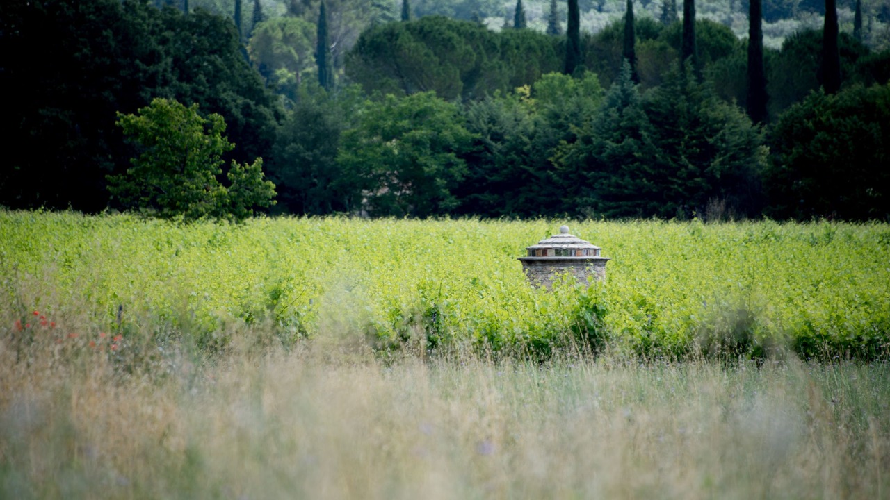 Photo of Others in Fayence