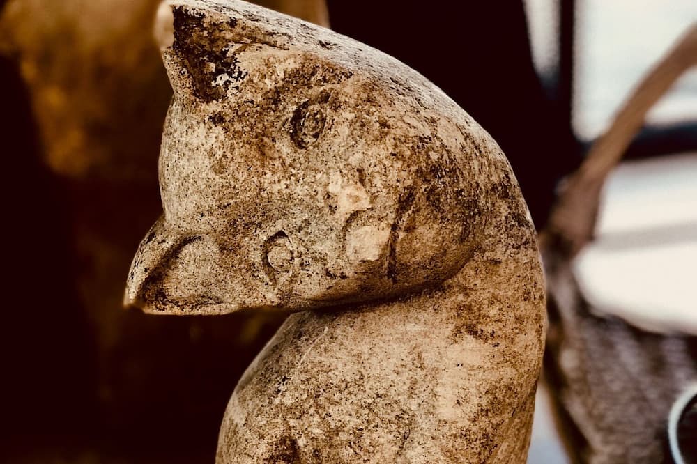 Photo of Others in Saint-Patrice-du-Desert