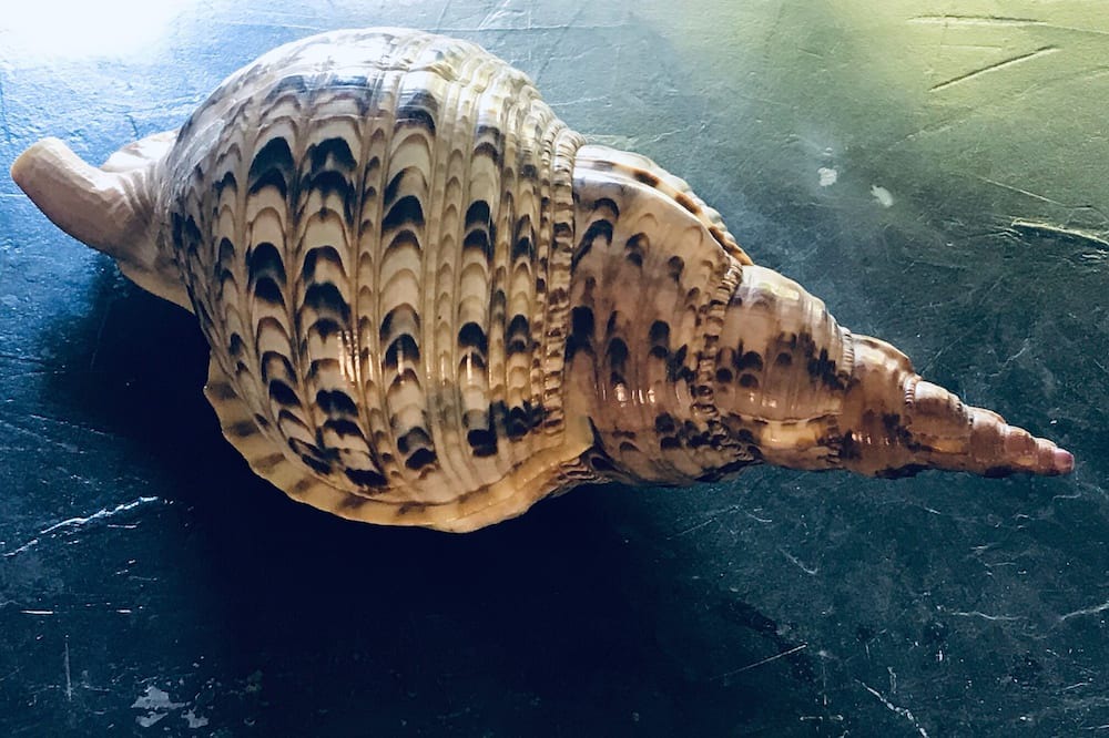 Photo of Others in Saint-Patrice-du-Desert