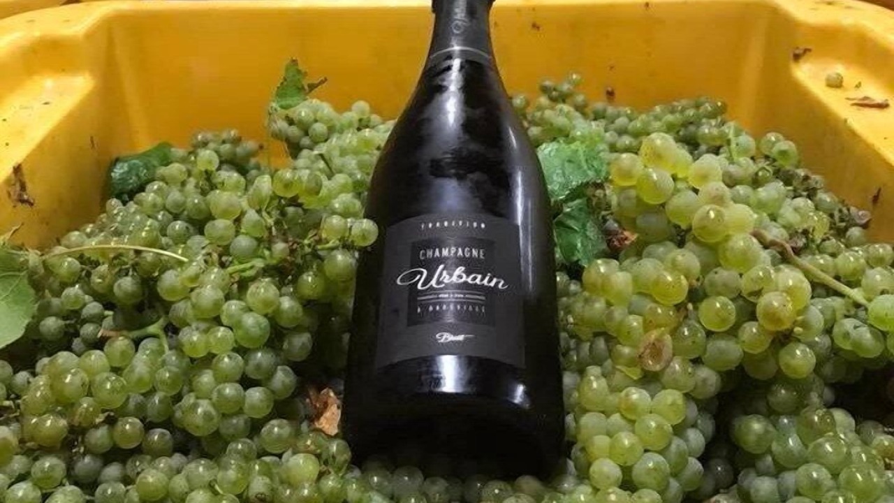 Photo of Others in Baroville