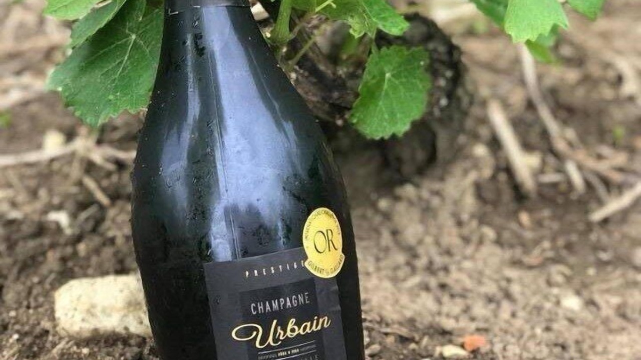 Photo of Others in Baroville