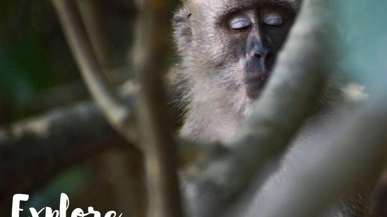 Photo of Others in Muar