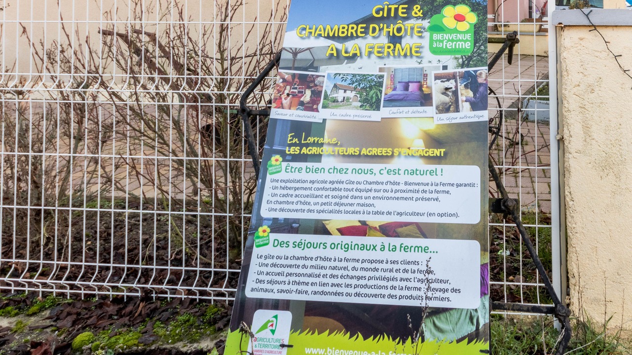 Photo of Outdoor in Flocourt