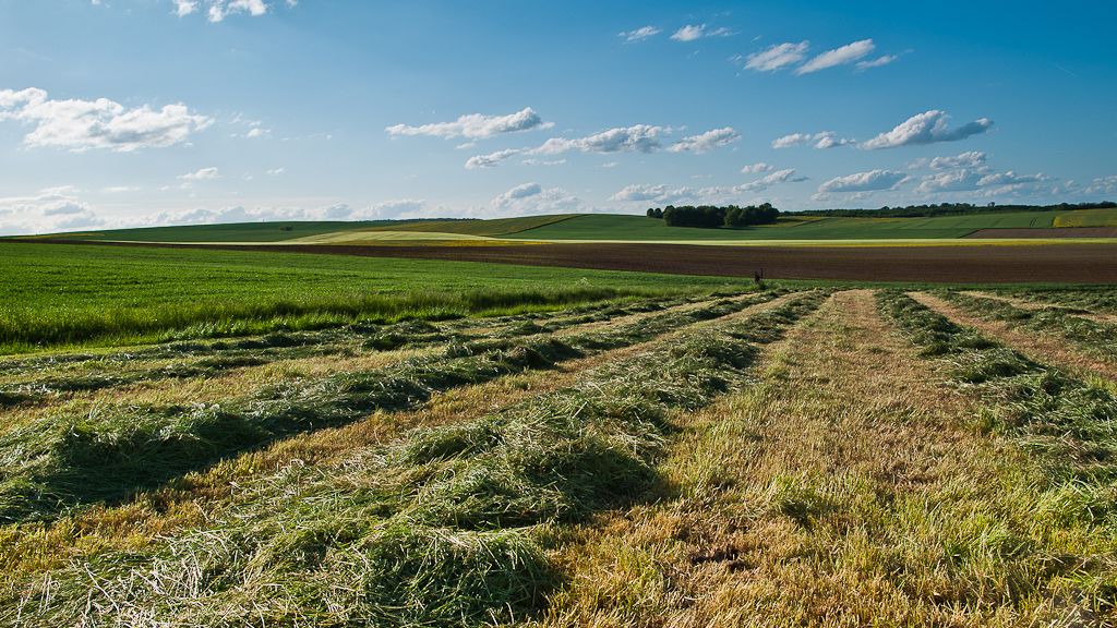 Photo of Outdoor in Flocourt