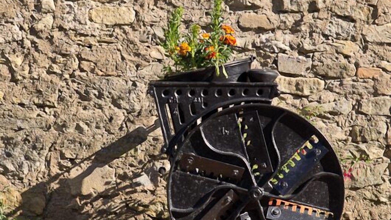 Photo of Outdoor in Flocourt