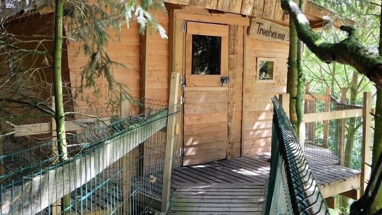 Photo of Outdoor in Saint-Thomas-de-Courceriers