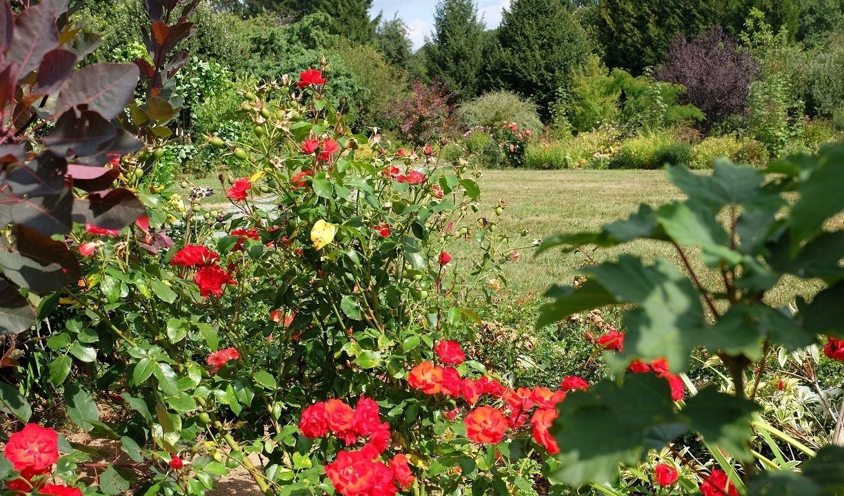Photo of Outdoor in Saint-Thomas-de-Courceriers