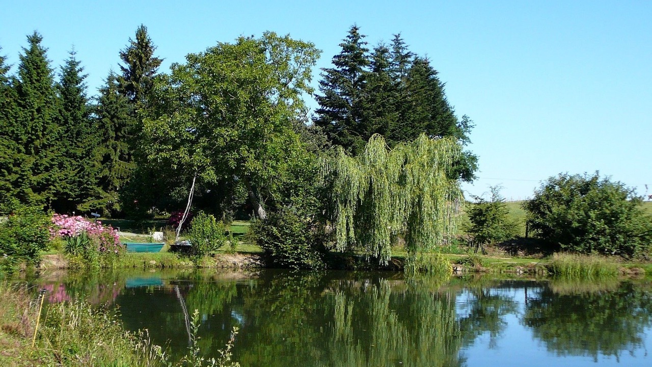 Photo of Outdoor in Saint-Thomas-de-Courceriers