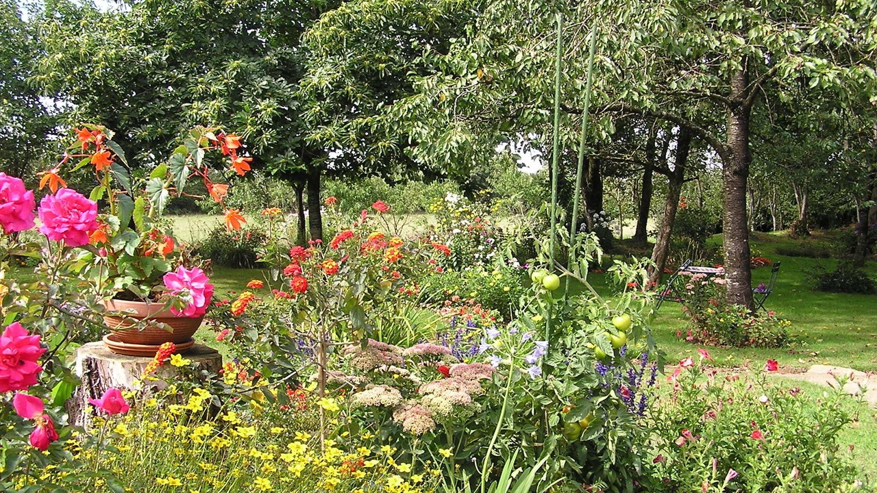 Photo of Outdoor in Saint-Thomas-de-Courceriers