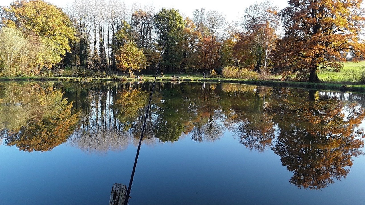 Photo of Outdoor in Saint-Thomas-de-Courceriers