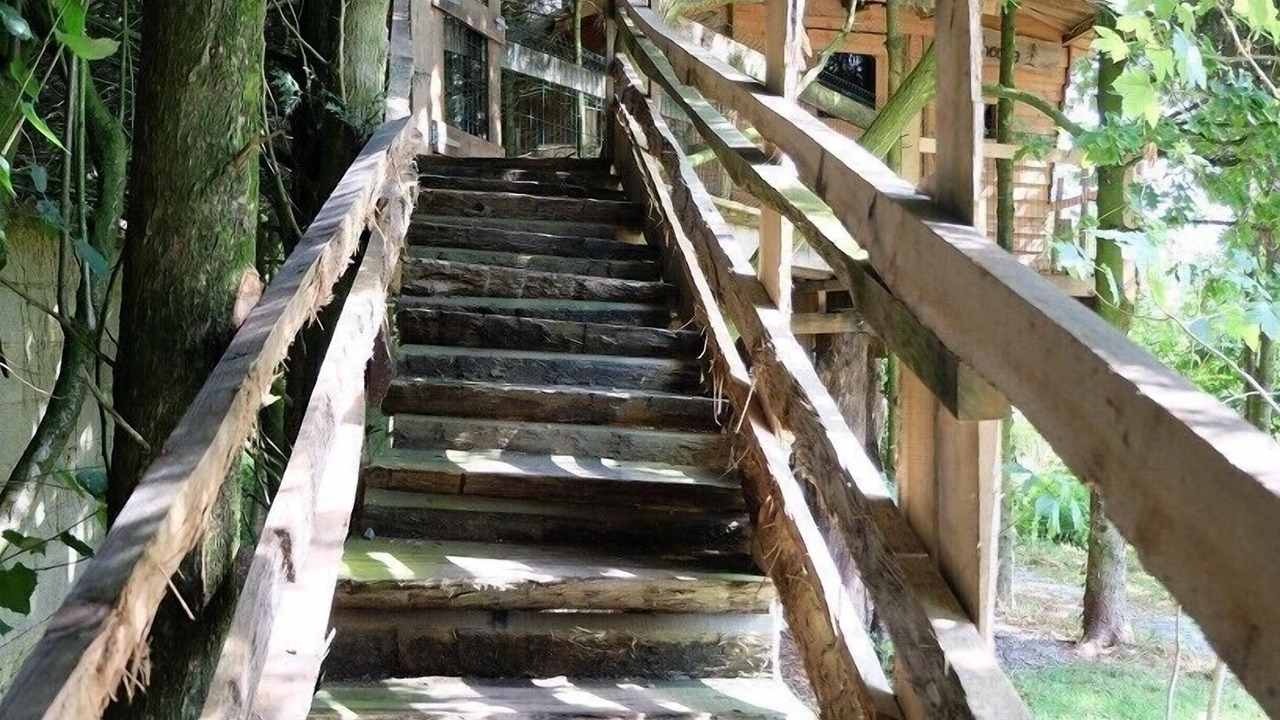 Photo of Others in Saint-Thomas-de-Courceriers