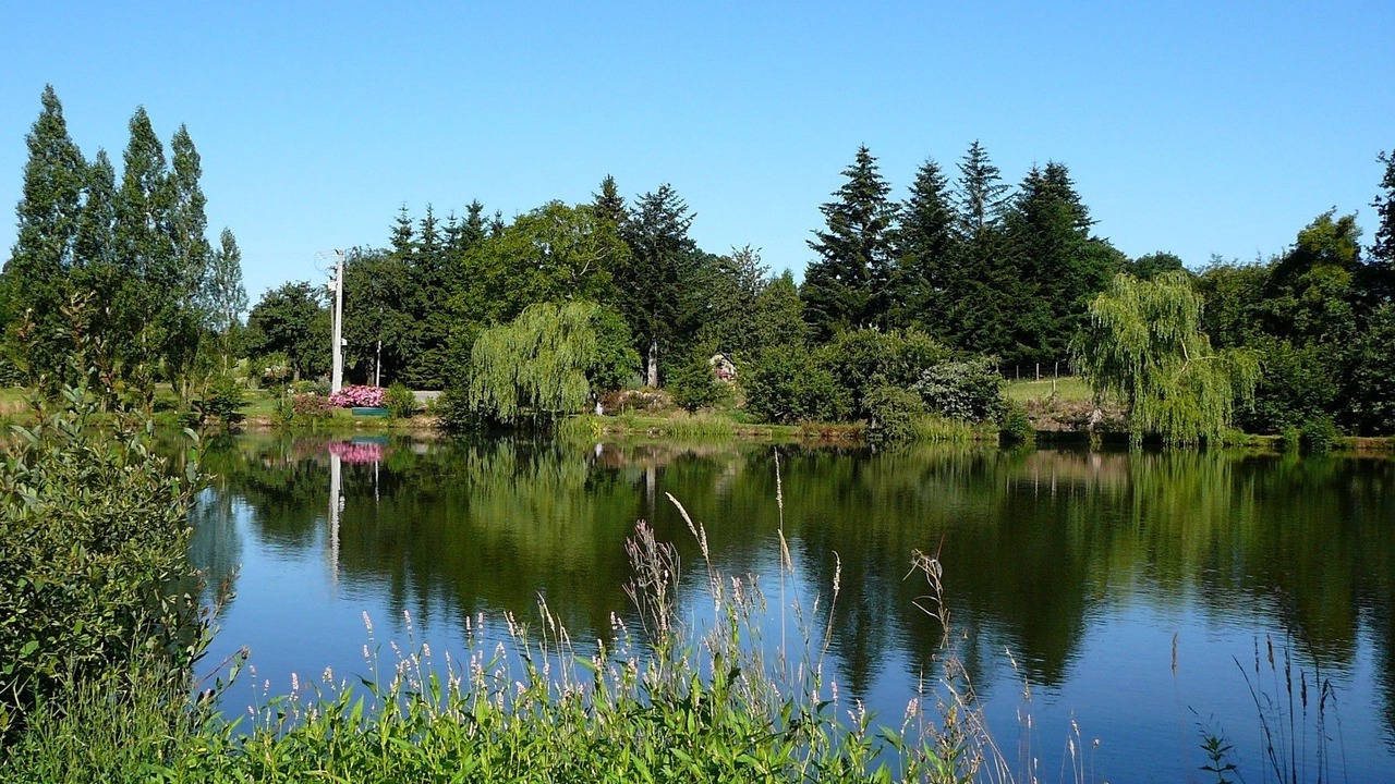 Photo of Outdoor in Saint-Thomas-de-Courceriers