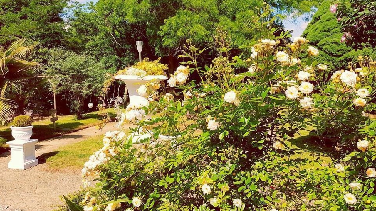 Photo of Outdoor in Labastide-dArmagnac