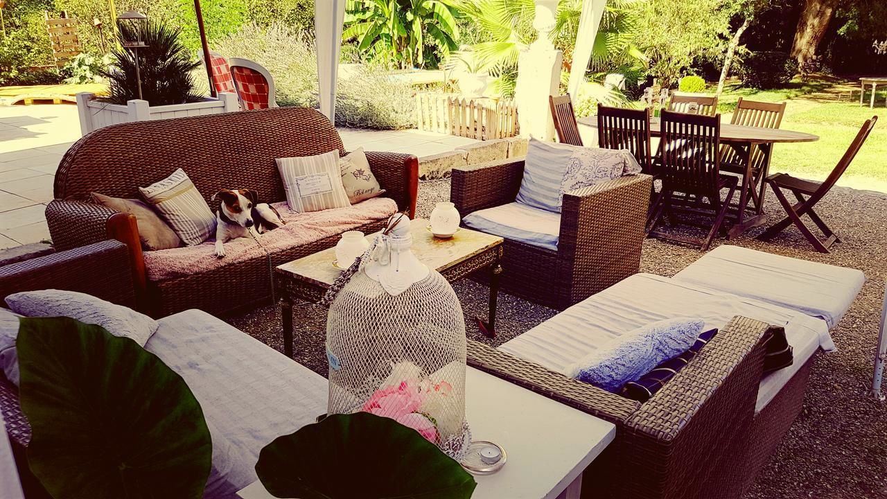 Photo of Patio Balcony in Labastide-dArmagnac