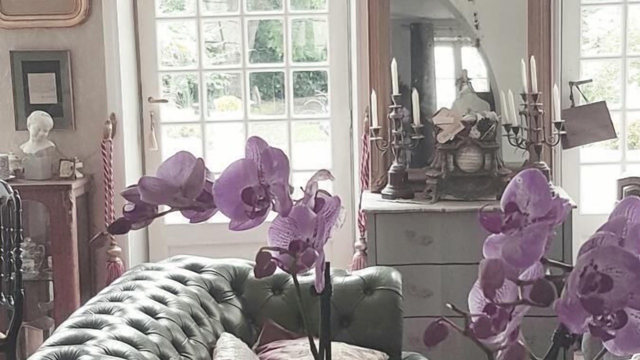 Photo of Livingroom in Labastide-dArmagnac