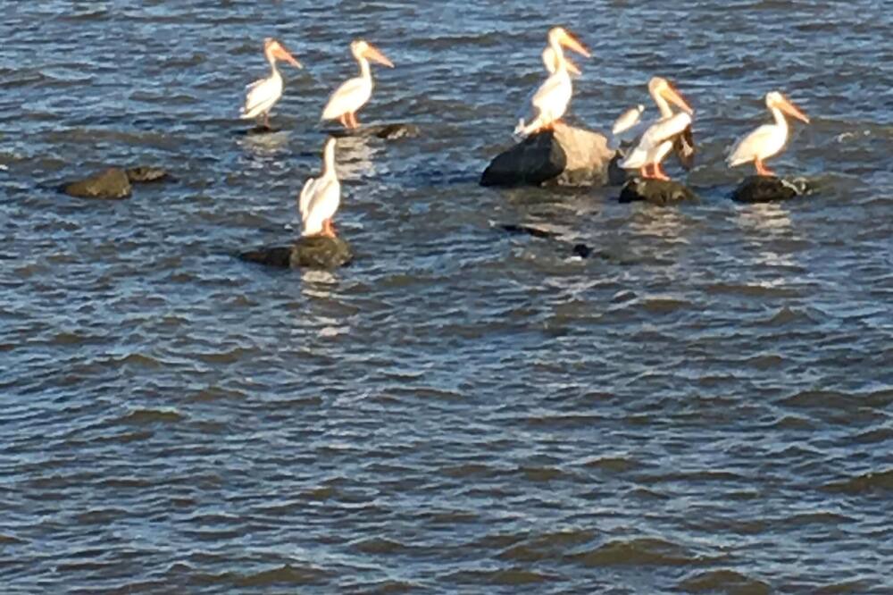 Photo of Others in Victoria Beach